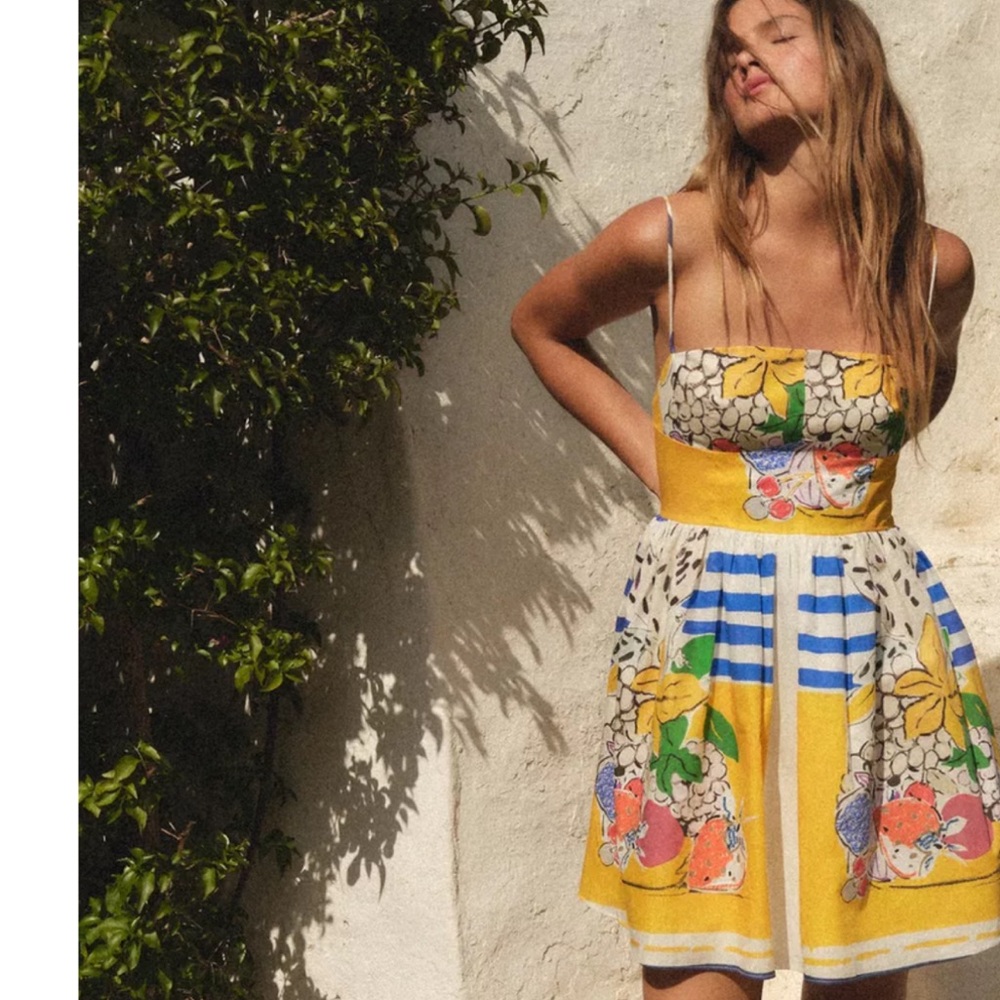 NWT ZARA FRUIT DRESS